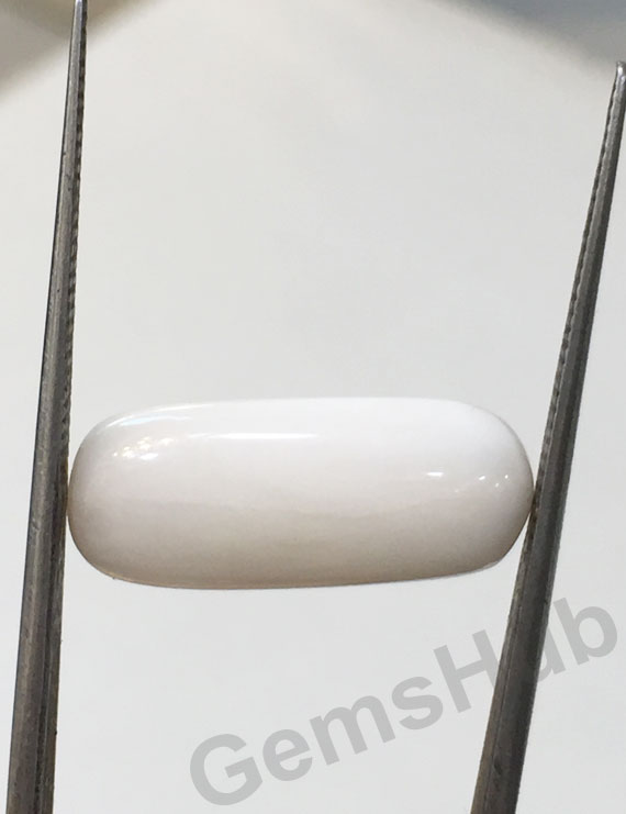 8.04 ct Natural Certified  White Coral/सफ़ेद मूंगा